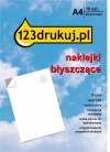 Naklejki A4 błyszczące (zawartość: 10 kartek)  060600