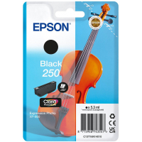 Epson 250 tusz czarny, oryginalny 652084