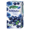 Herbatka Herbapol ziołowo-owocowa - borówka z kwiatem chabru, 20 torebek