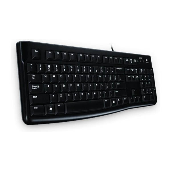 Klawiatura Logitech K120 (920-002479) 828066 - 2