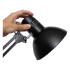 Maul Lampa biurkowa Maul MAULstudy z czarnym zaciskiem 8230590 402292 - 2
