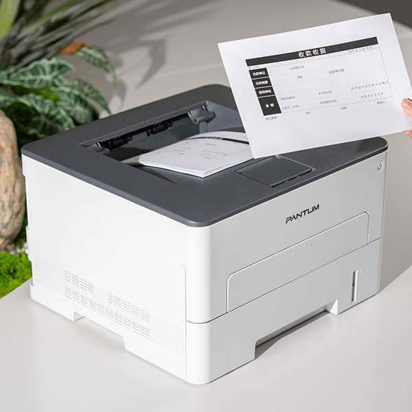Pantum P3020D drukarka laserowa monochromatyczna A4 850204 - 5