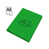 Papier ksero kolor A4, 80 gramów zielony, 100 szt. PAS008-IT230 246347