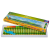Pastele olejne Cricco 24 kolory 246434 - 1