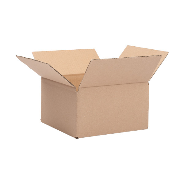 Pudełko wysyłkowe 200 x 200 x 110 mm (10 sztuk), 123drukuj 301868 - 1