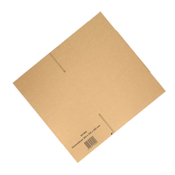 Pudełko wysyłkowe 305 x 220 x 250 mm (10 sztuk), 123drukuj 301869 - 8