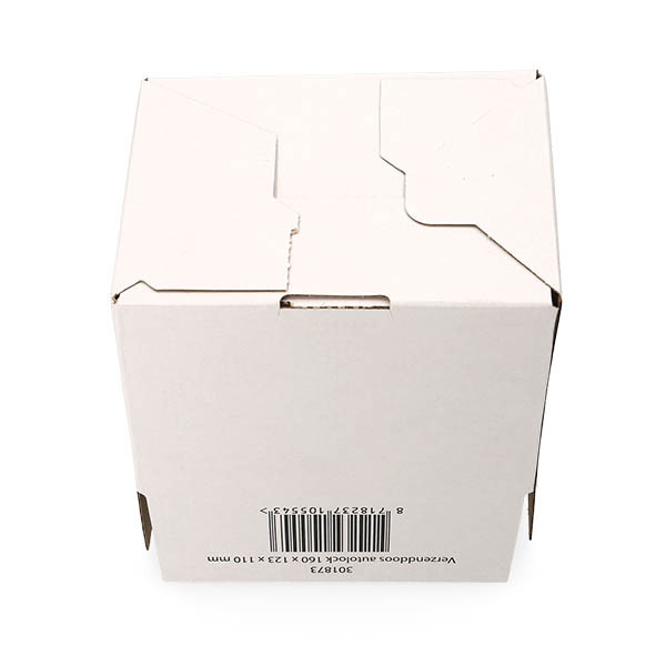 Pudełko wysyłkowe z automatyczną blokadą 160 x 123 x 110 mm (10 sztuk), 123drukuj 301873 - 9