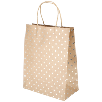 Torebka prezentowa, ozdobna 20x25 cm Kraft złote kropki 507012 246990