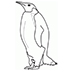 zwierzÃta 3d pingwin